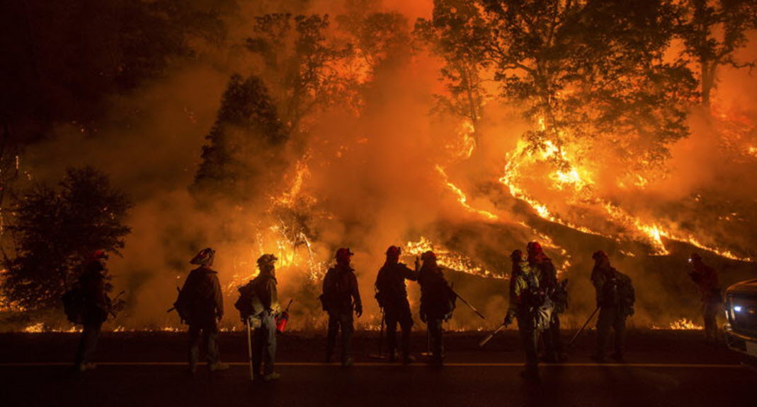  пожар в Калифорнии, виноделие, долина Сонома
