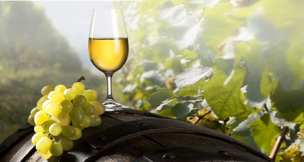  подделка вин, Бордо, испанские вина