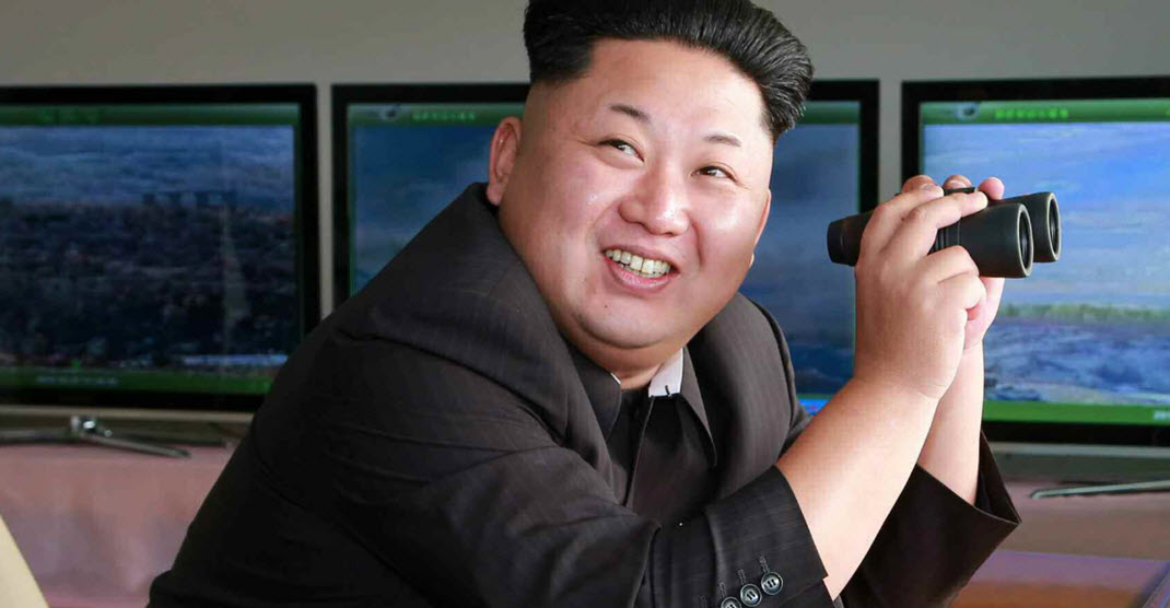  Северная Корея, Ким Чен Ын, соджу, похмелье, женьшень, алокгольдегидрогеназа
