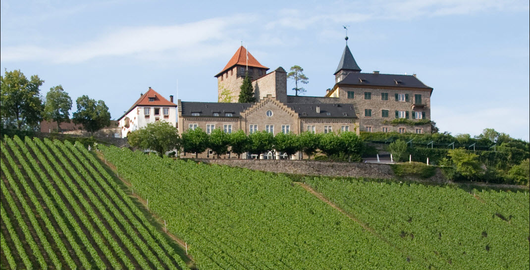 красное вино, Германия, виноделие