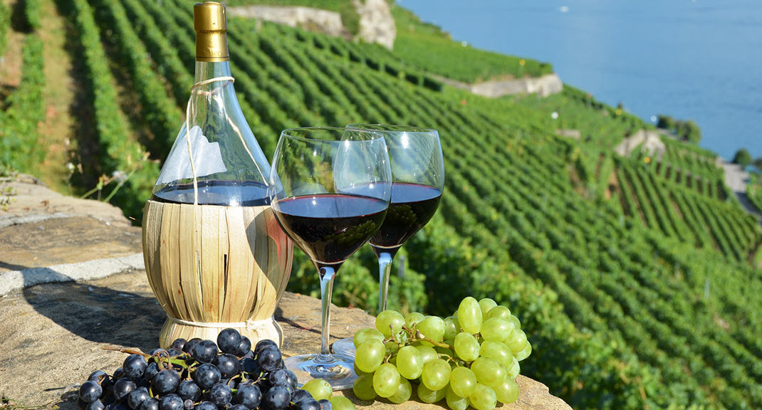  виноделие, вино, хит-парад, винный туризм, Италия