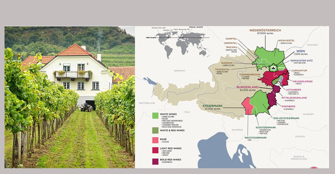  Австрия, австрийские вина, винный туризм в Австрии, австрийское биовино
