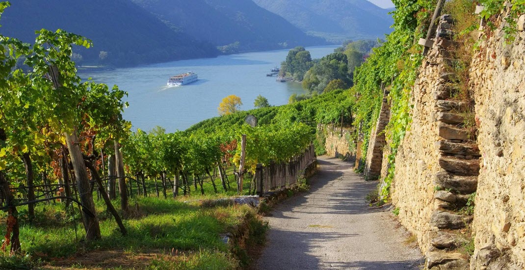  Австрия, австрийские вина, винный туризм в Австрии, австрийское биовино