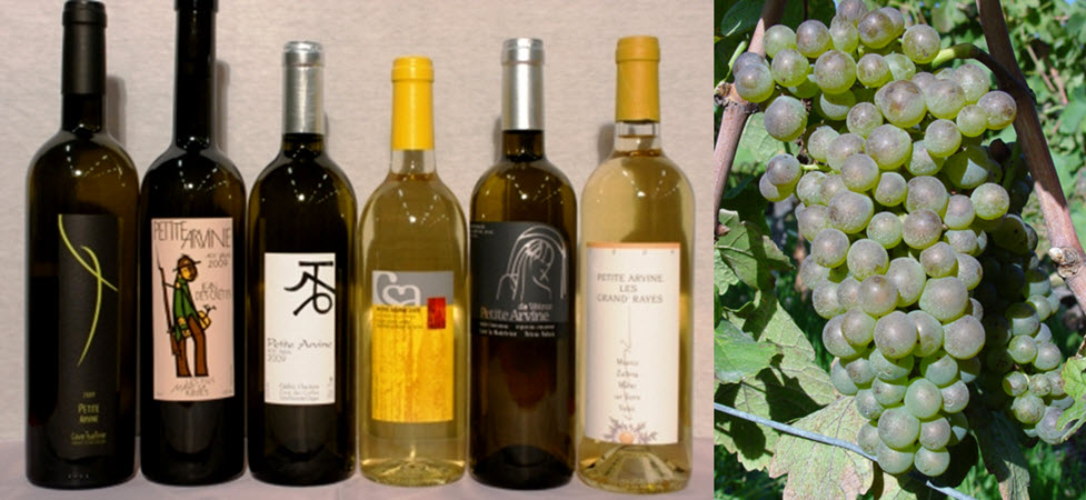  вино, белое вино, красное вино, Армения, Арени, Ассиртико, Тиморассо, Годелло.