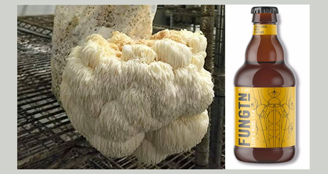  грибы, лечебные грибы, натуропатия, пиво с грибами