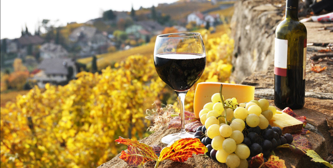  Испания, вино, регионы, виноделие