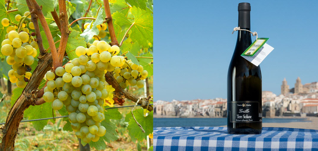  вино, виноделие, Сицилия, Сардиния, Пьемонт