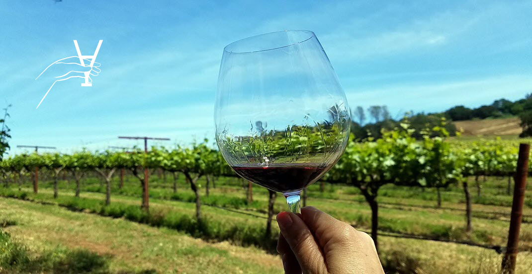  вино, вино США, долина Напа, день вина