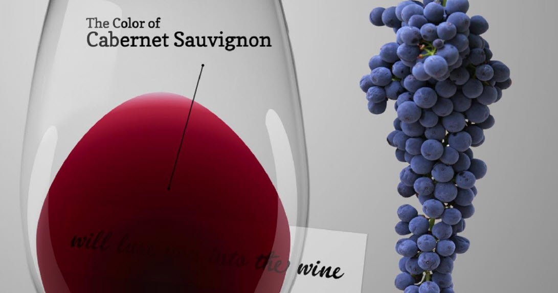  Каберне Совиньон, красное вино, танины, Каберне Фран, Бордо, Совиньон Блан.