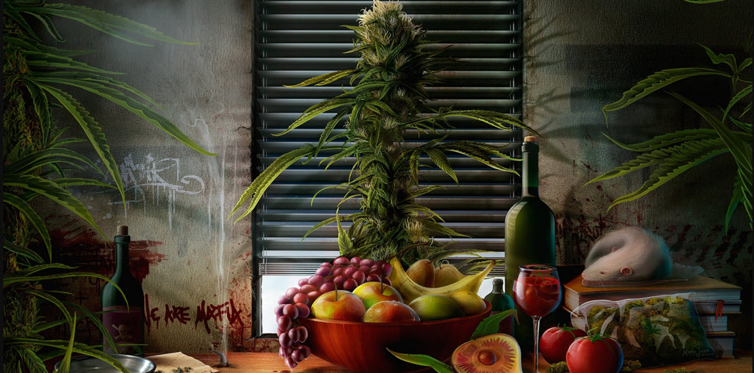  марихуана, сочетание алкоголя и травы, законы, легализация марихуаны