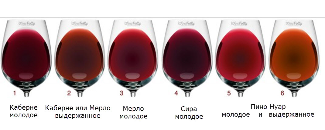  красное вино, польза вина, белое вино, танины, полифенолы