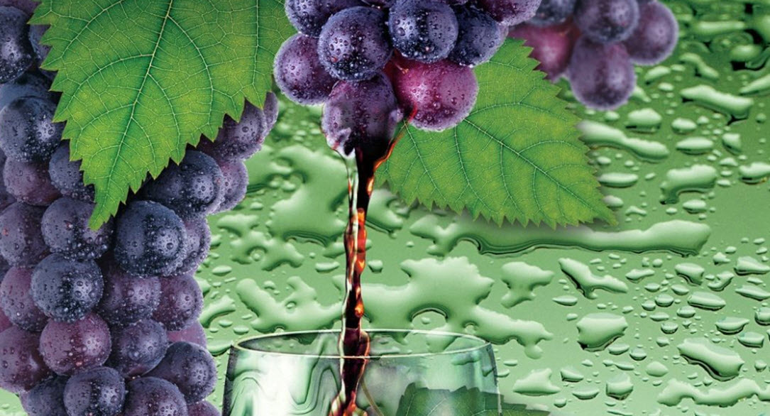  вино, отходы виноделия, польза красного вина, полифенолы, антиоксиданты