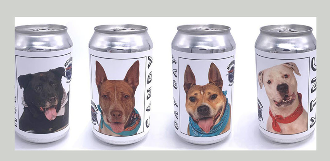  пиво, фото собак на банках
