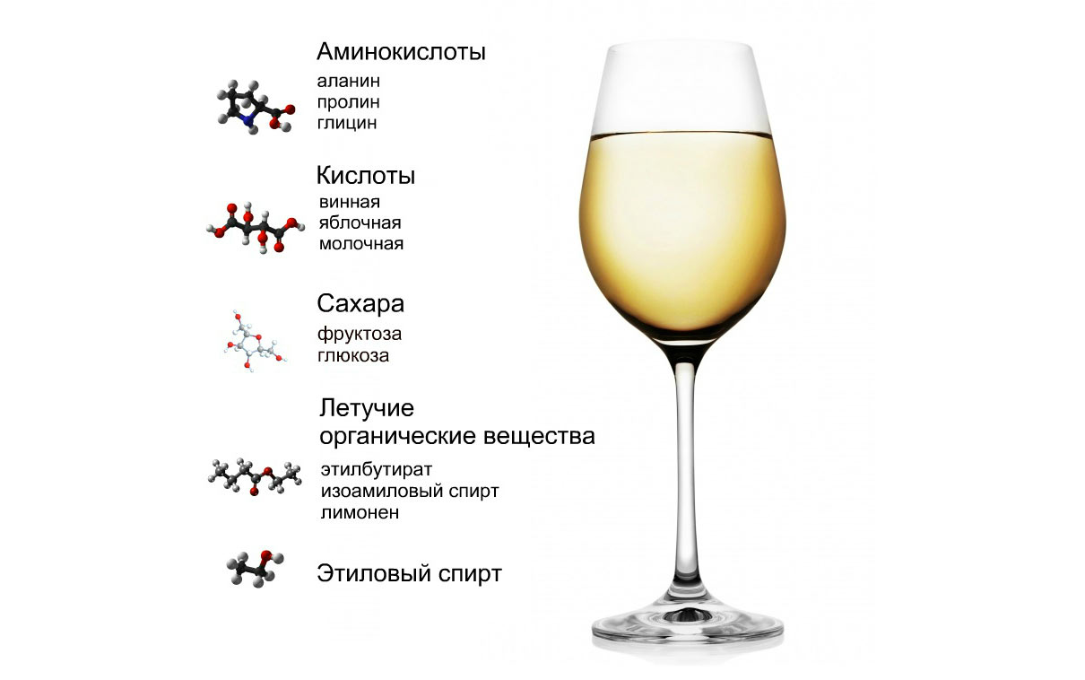 Состав вина. Компоненты вины. Состав вин. Состав белого вина. Вино химический состав.
