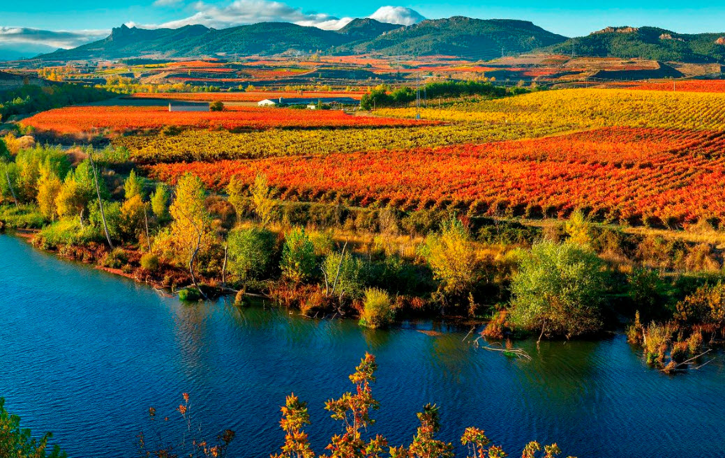  Аро, север Испании, Batalla de vino, wine battle, вино, красное вино, риоха, бой быков
