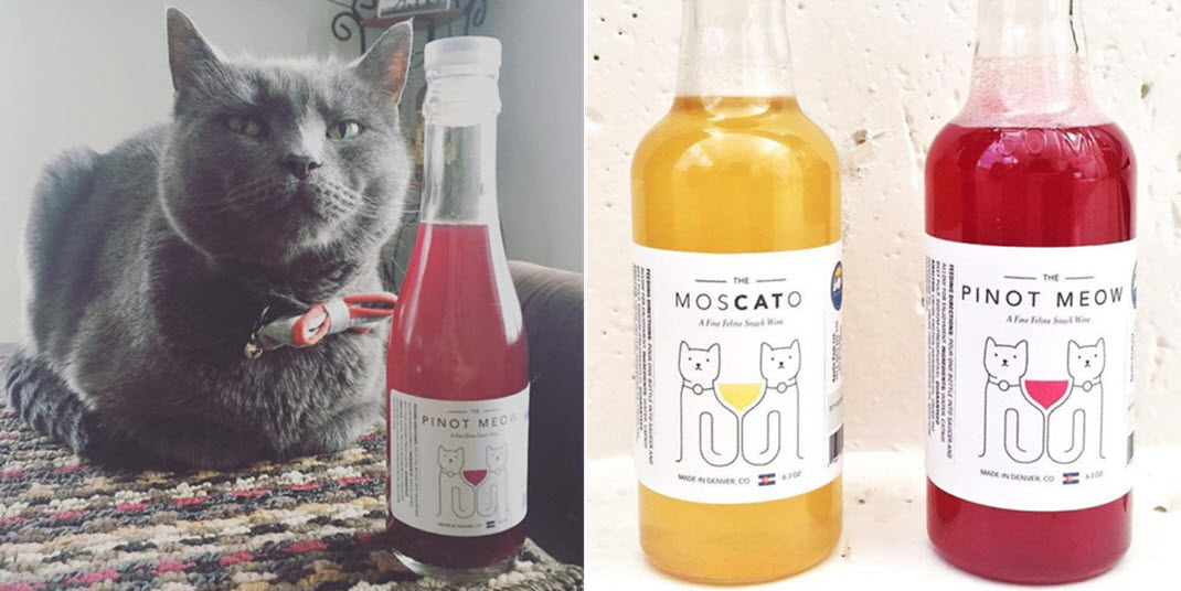 вино, вино для кошек, животные и алкоголь