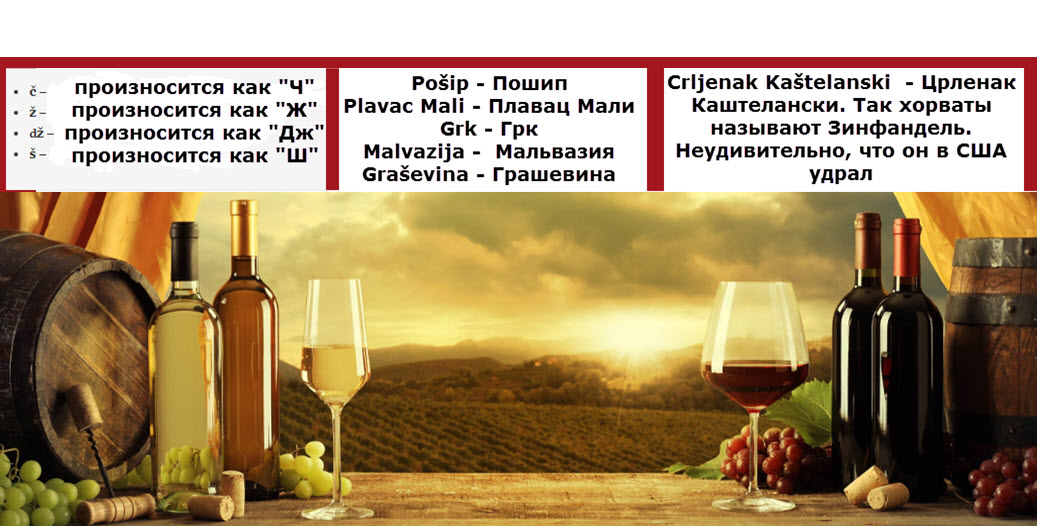  Хорватия, вино, красное вино, танины, белое вино