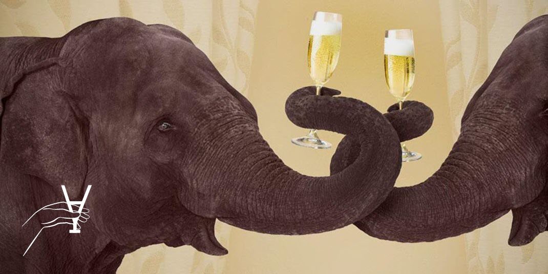  пьяные слоны, алкоголь и животные