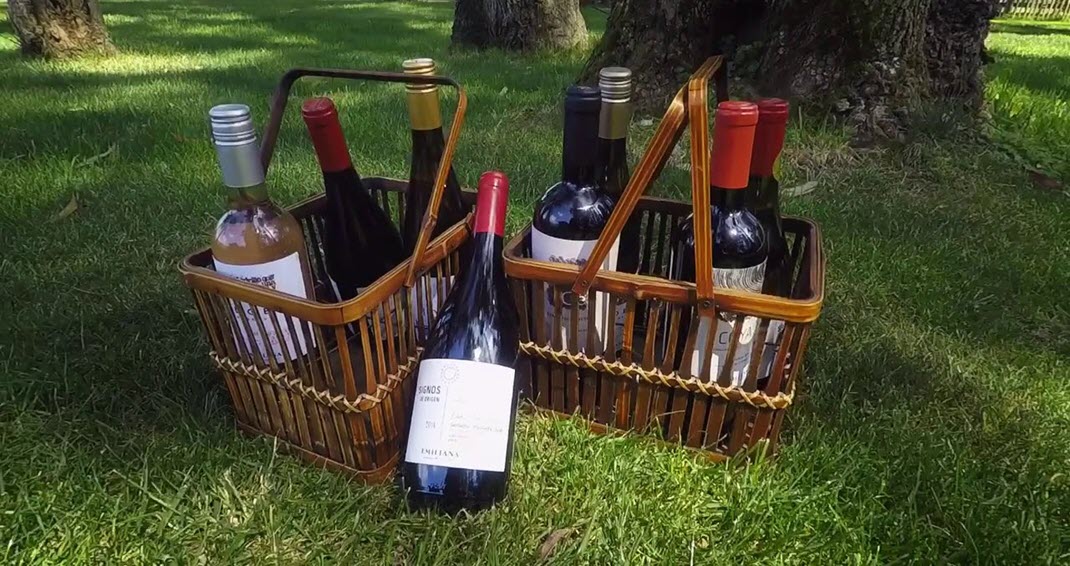  органическое вино, биодинамическое вино, виноделие, виноделы, вина Чили