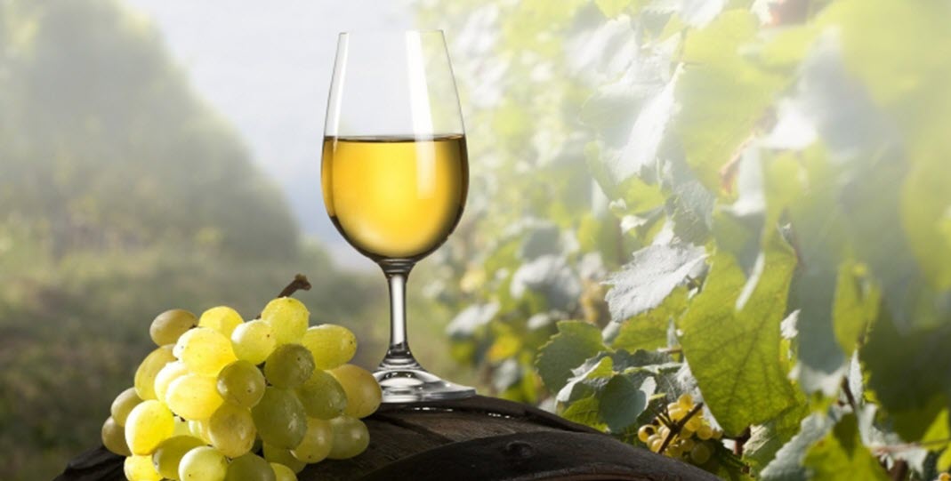  вина Великобритании, джин, спирт из винограда