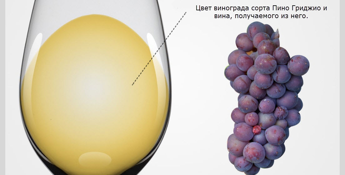  Пино Гри (Pinot Gris), Пино Гриджио (Pinot Grigio), сочетание продуктов, белое вино