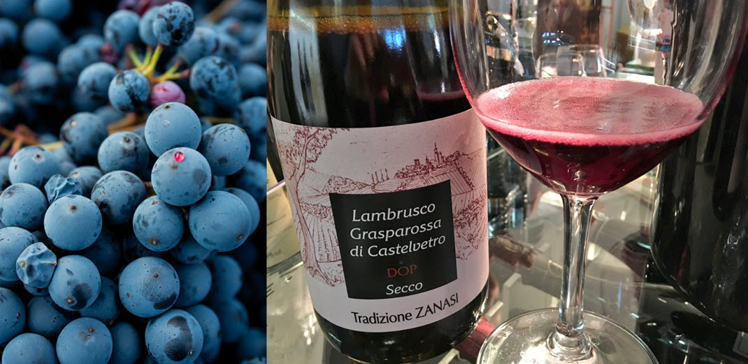  Ламбруско, Vitis Labrusca, вино, Италия, Lambrusco Grasparossa