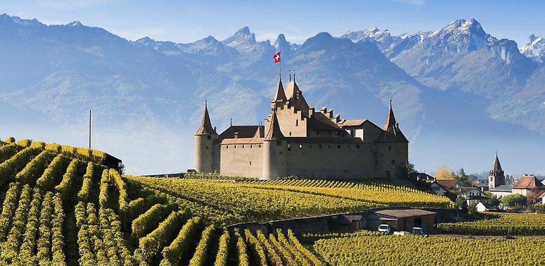  швейцарские вина, Шассла, Пино Нуар, автохтонные швейцарские сорта